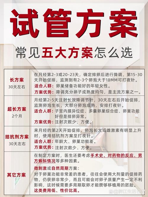 患者咨询试管助孕方案