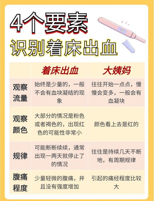 不同体质着床反应对比